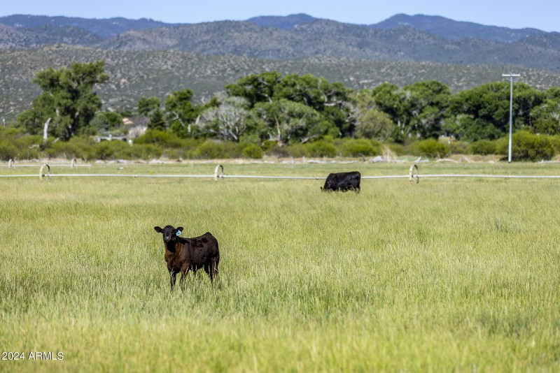 Four Cross Ranch
