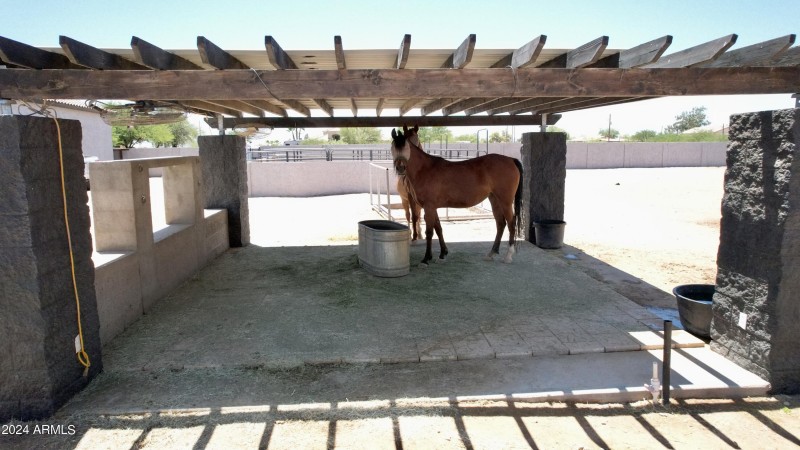 horse good