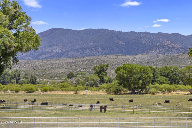 Irrigated Grass pastures