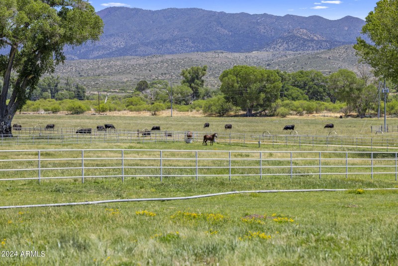 Irrigated grass pastures