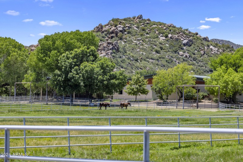 Irrigated grass pastures