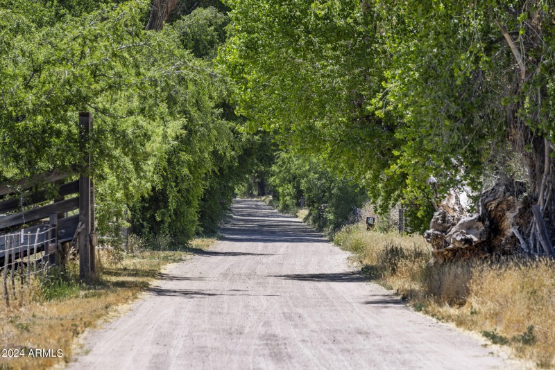 Entrance Road