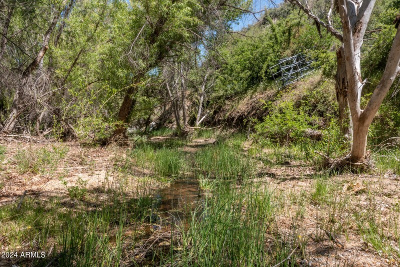 Skull Valley Wash