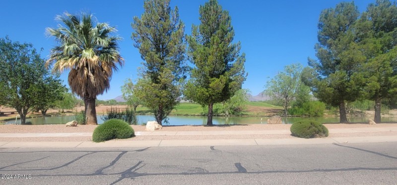 Perilla lake trees