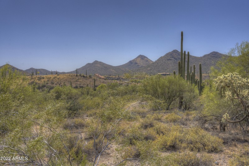 Gorgeous Setting for your AZ Casa