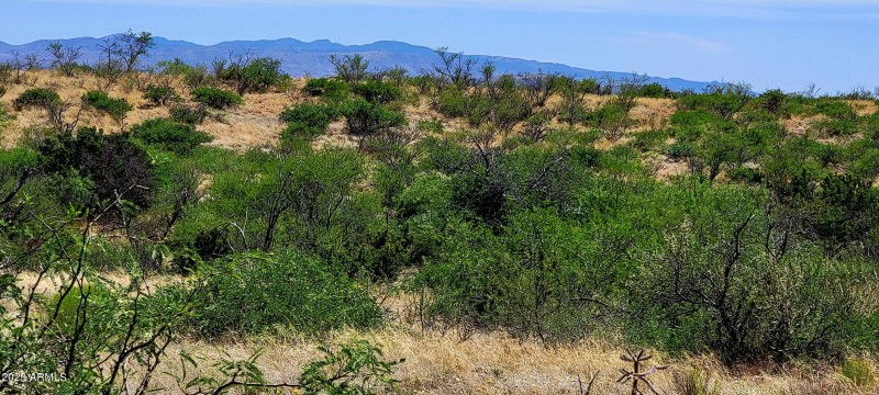 Lot 116 West Stetson Drive