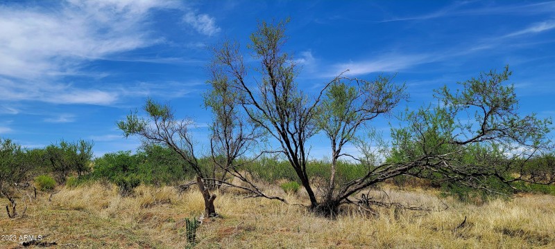 Lot 116 West Stetson Drive