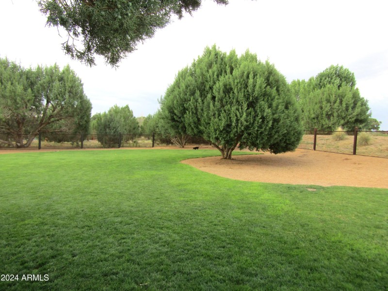Dog Park