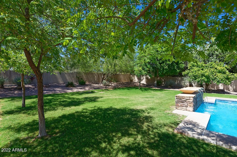 BACK YARD
