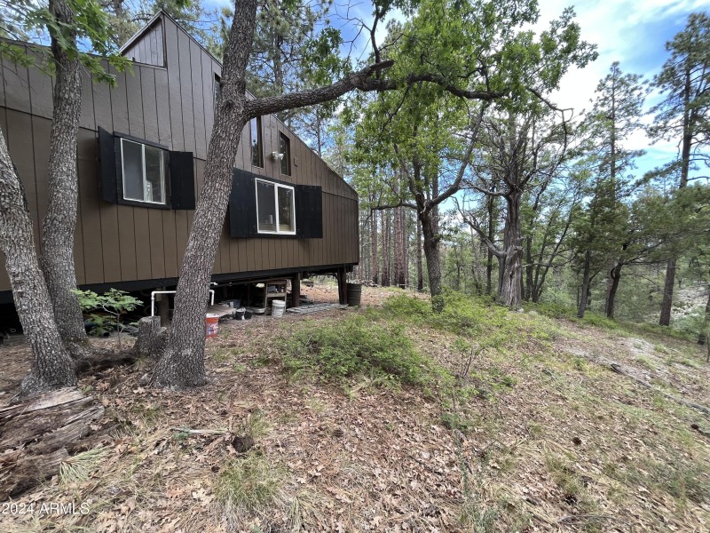 Cabin exterior
