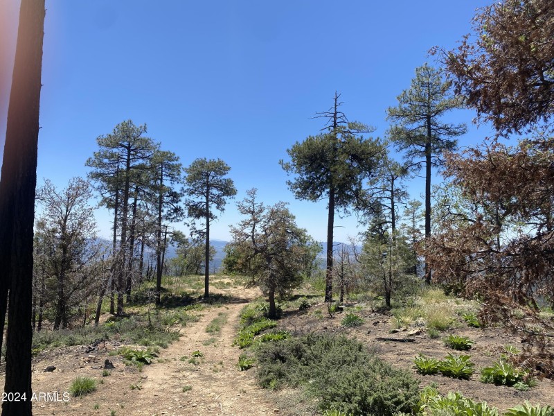 driveway to lot 2