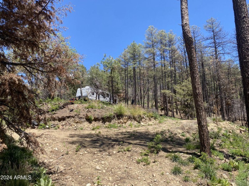 looking toward lot 1