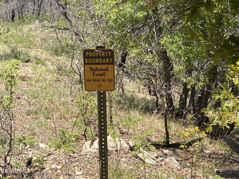 national forest
