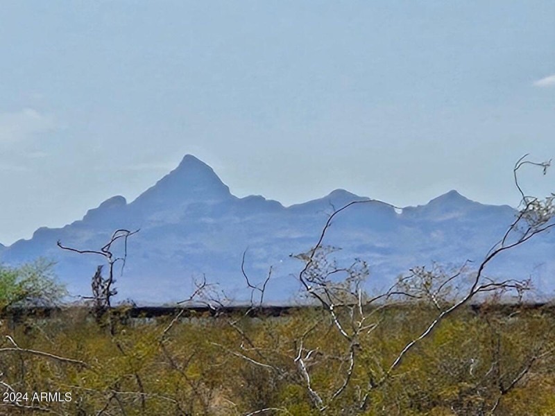 viewranchcattlewest