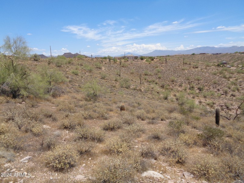Landscape (1)