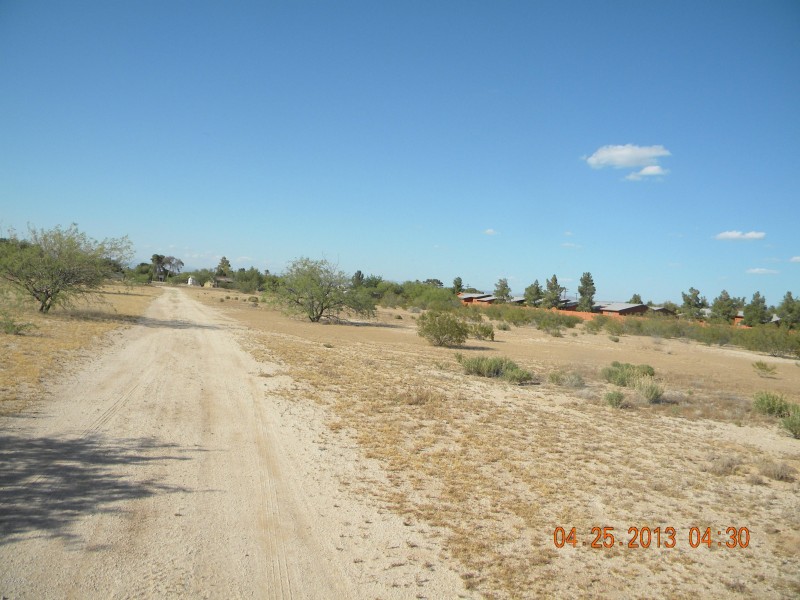 North view