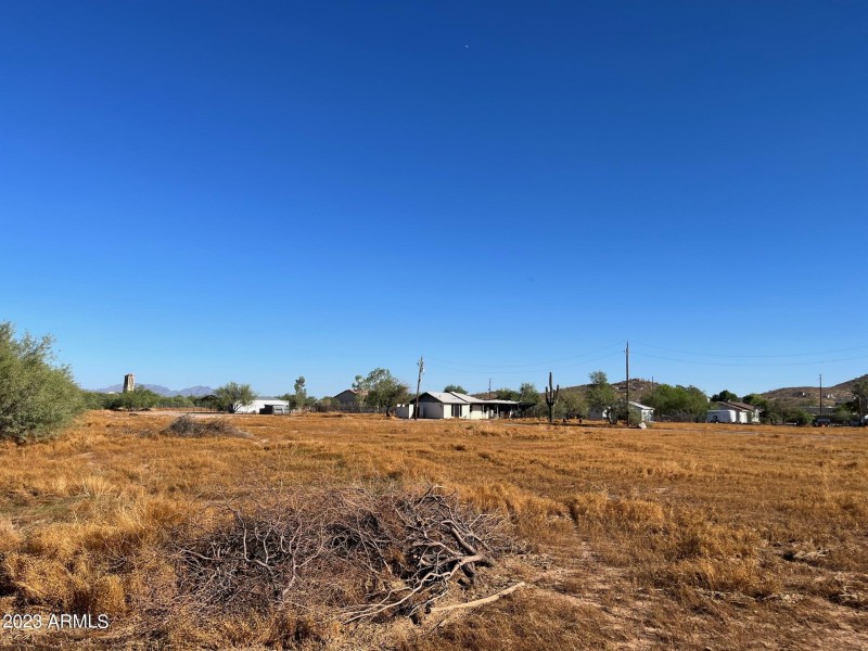 NW corner area looking SE across lot