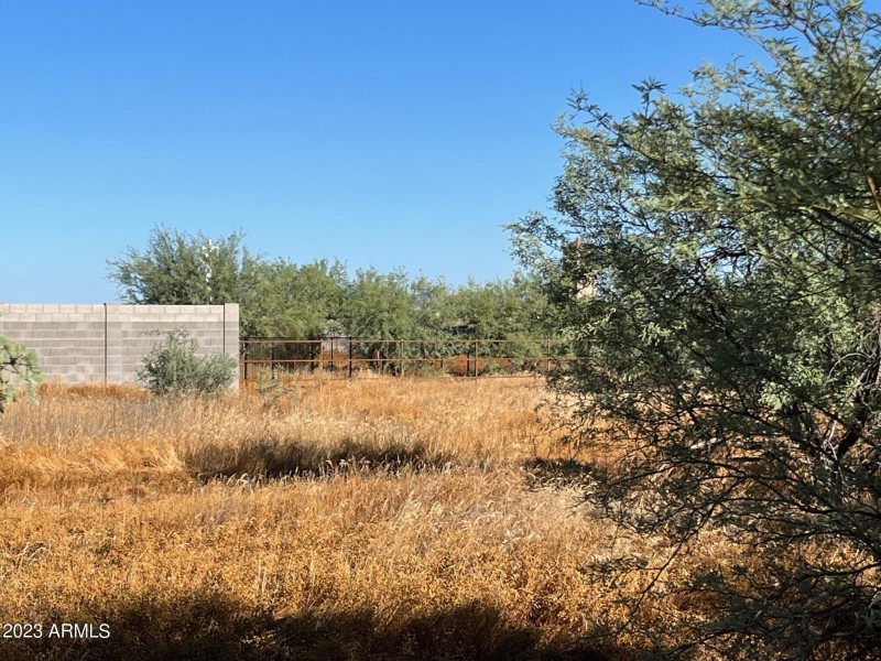 NE part of lot