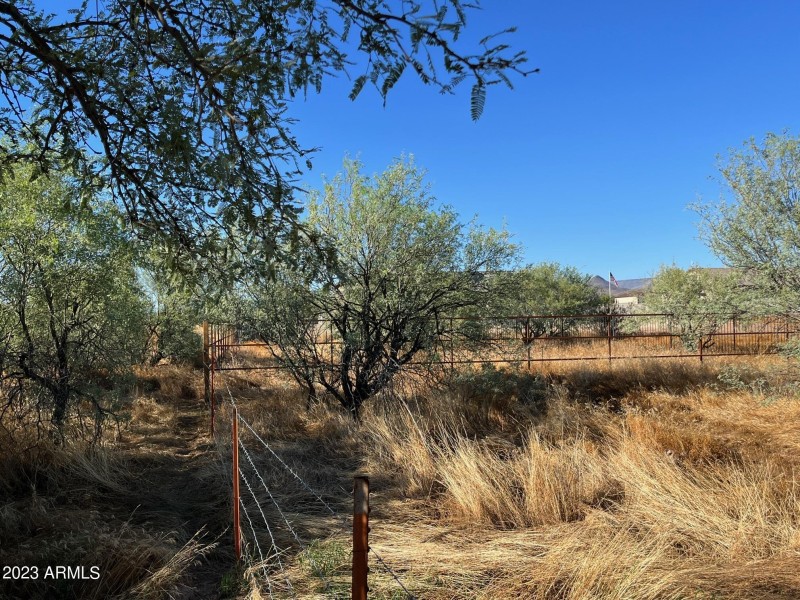 looking at NE property across wash with