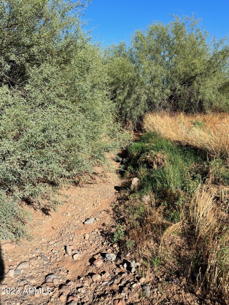 looking East where the water goes thru p