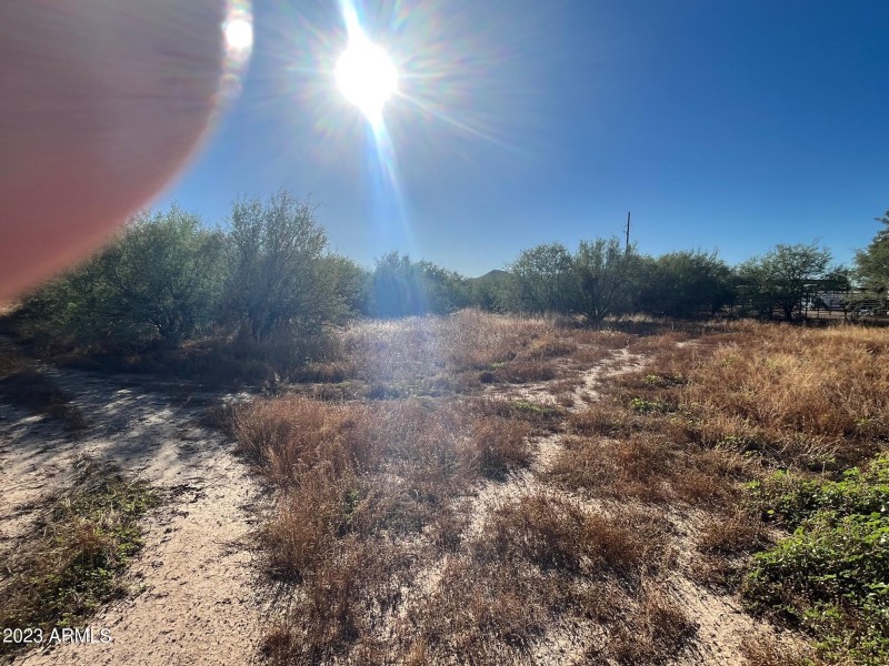 Looking West from around mid lot area