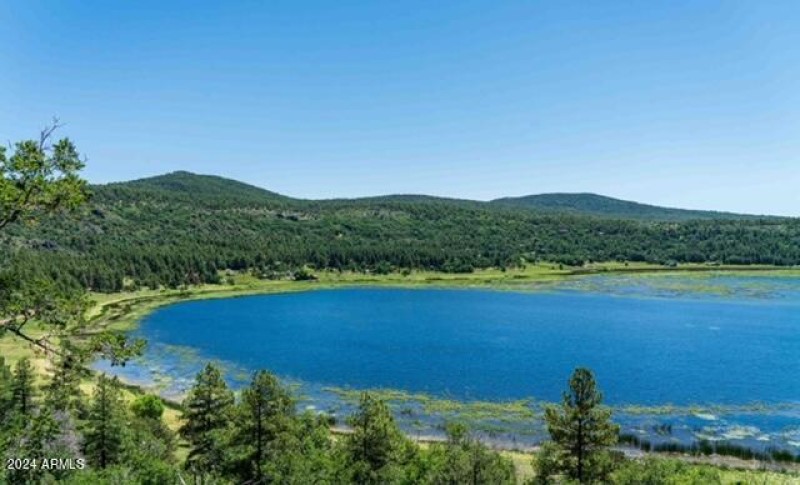 Lake View 1