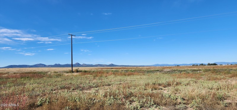 Panoramic View 7