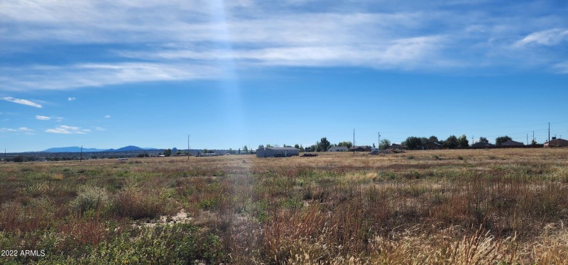 Panoramic View 23