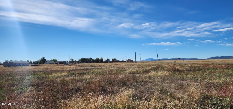 Panoramic View 25