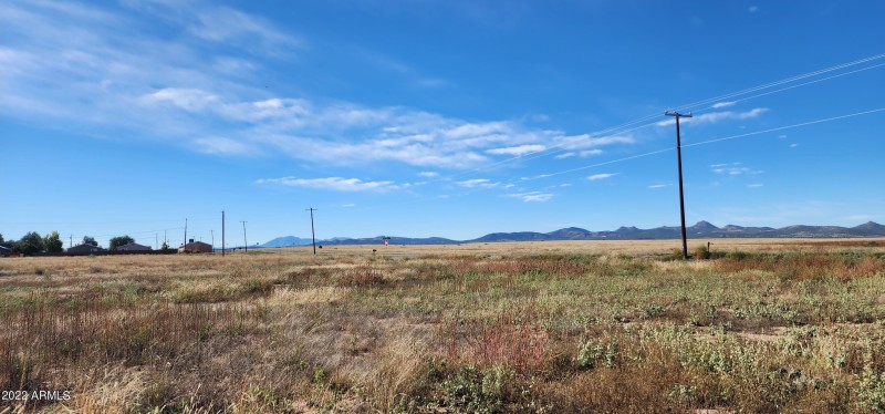 Panoramic View 27