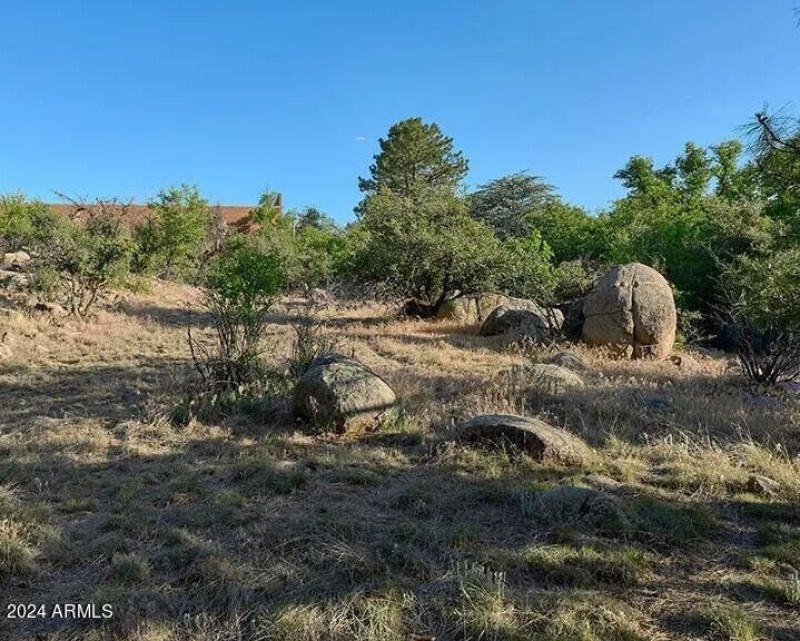 Landscape 4a
