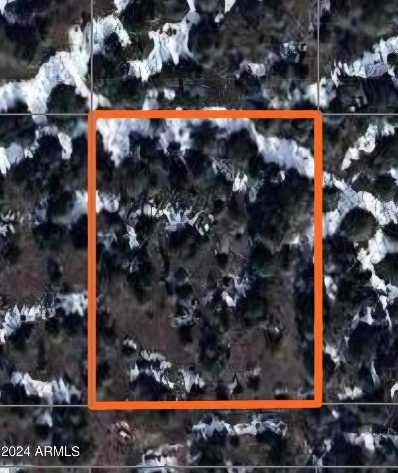 1000018272