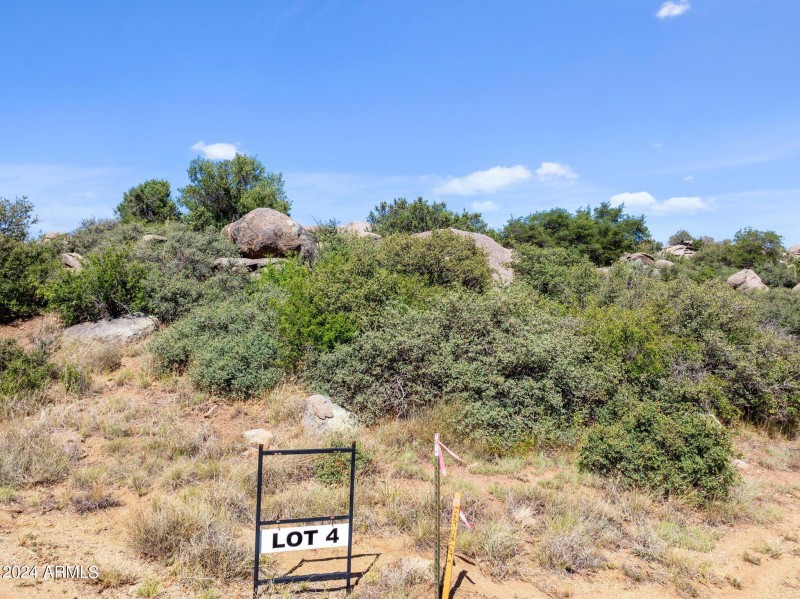 Lot 4