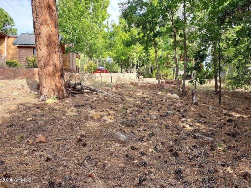 Treed RV lot