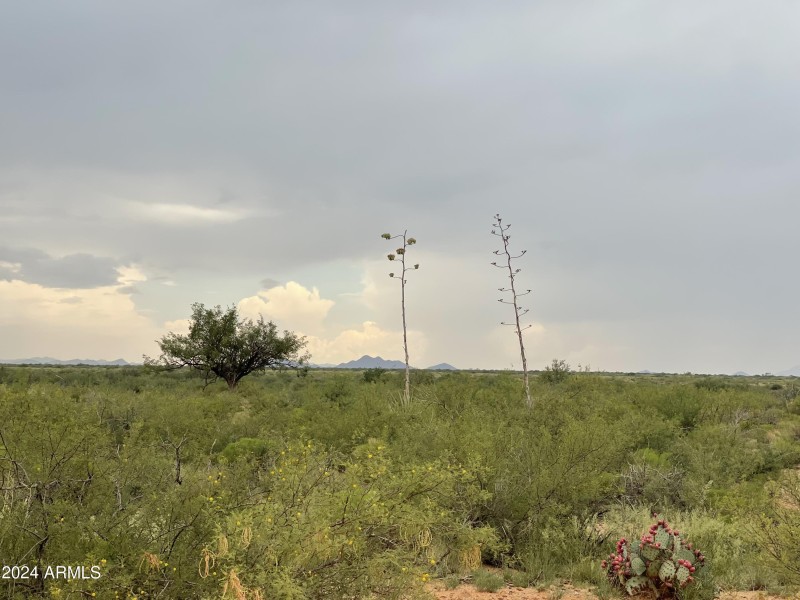Desert