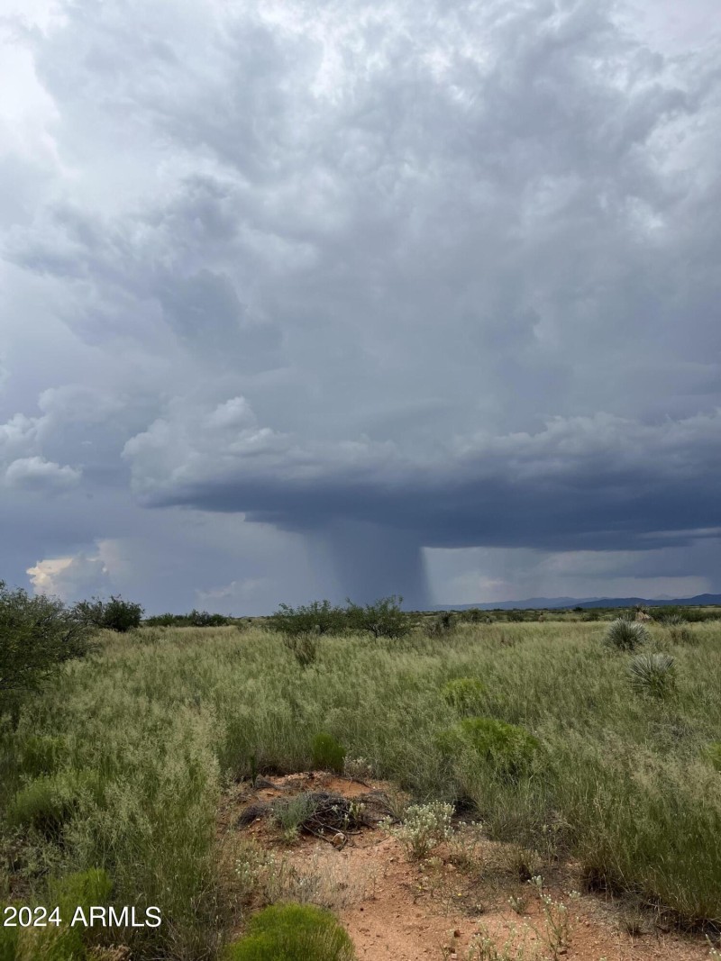 Monsoon Storms