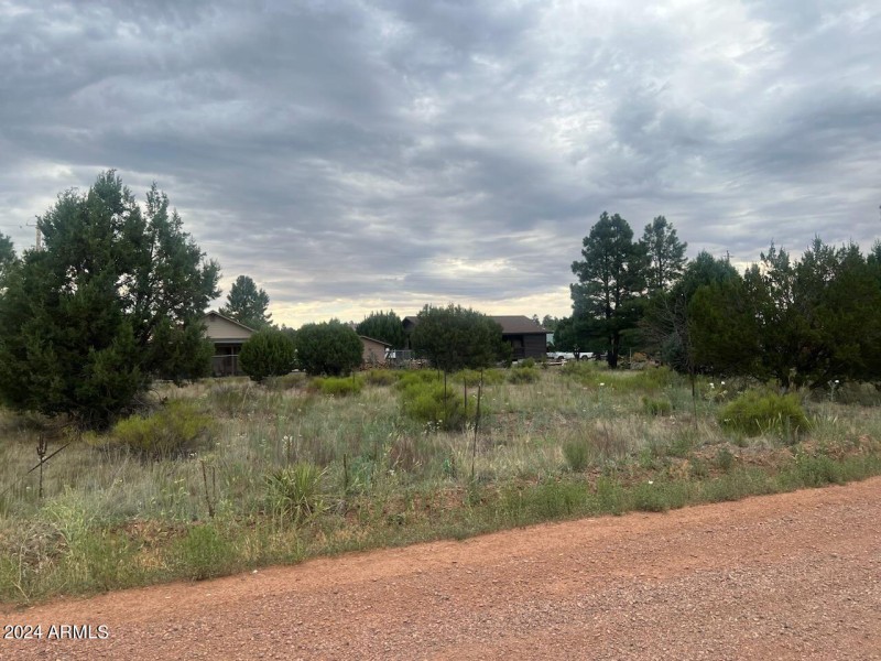 Sitgreaves _03