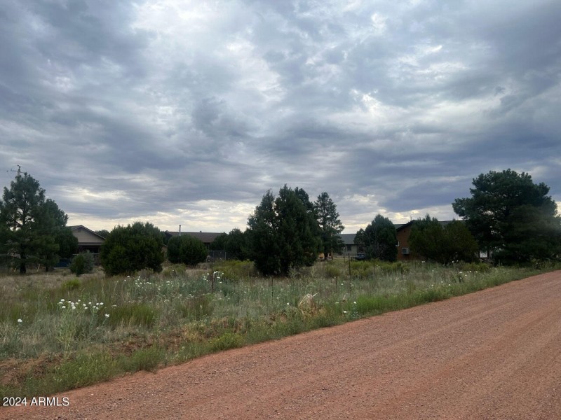 Sitgreaves _04