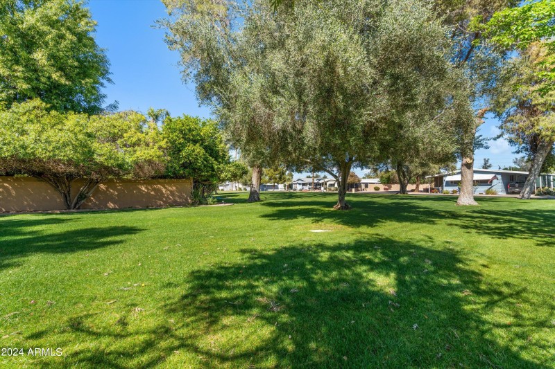 23-Community Park