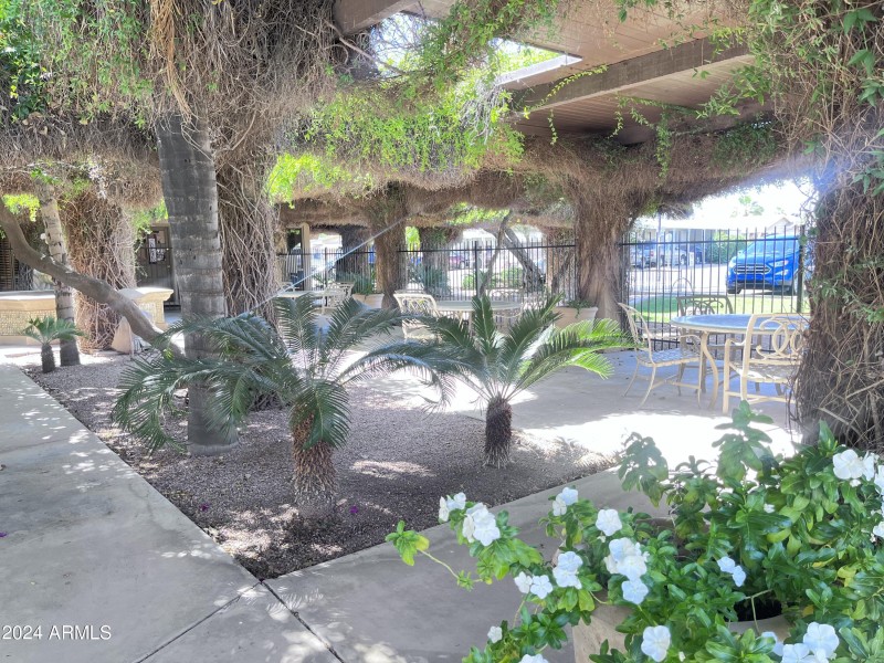 Community Garden
