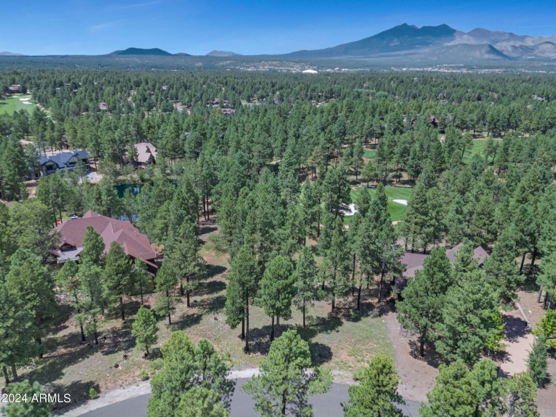 10-web-or-mls-TimberCreekImagery-10 (1)