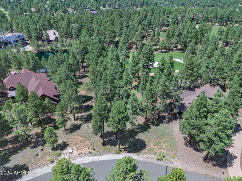 12-web-or-mls-TimberCreekImagery-12 (1)