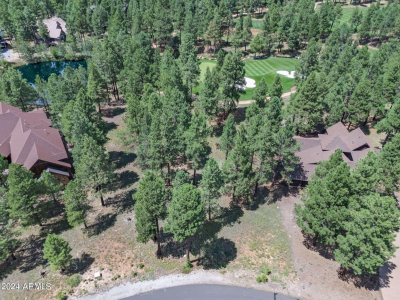 13-web-or-mls-TimberCreekImagery-13 (1)