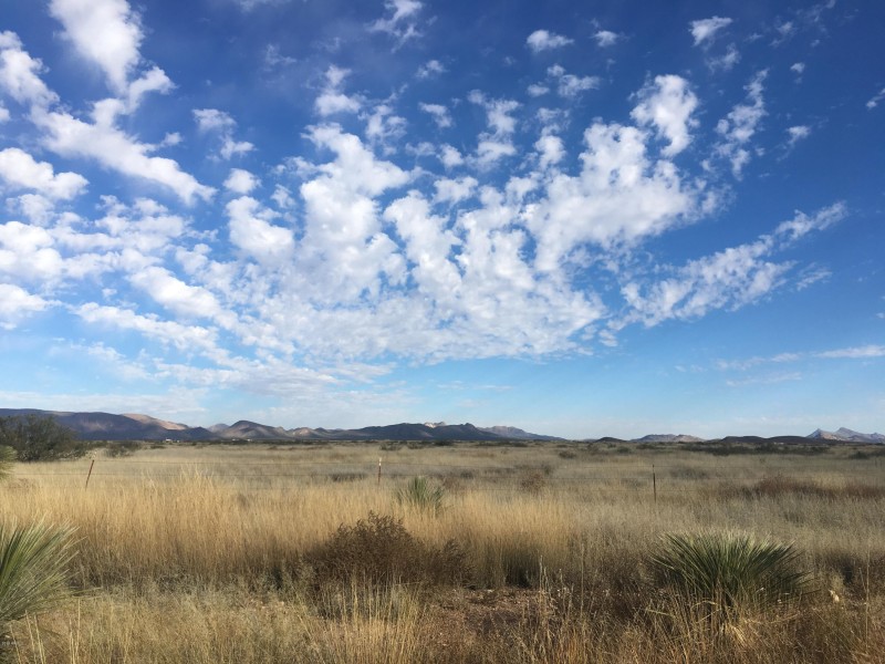 NE Ranch McNeal 2
