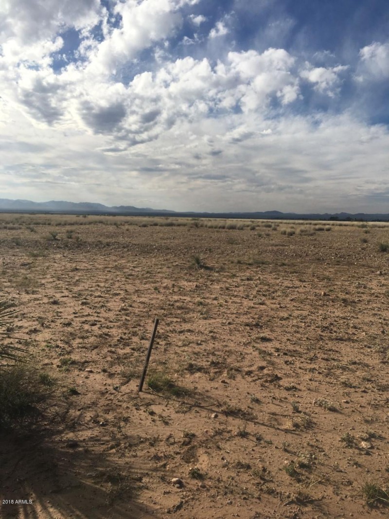 NE Ranch McNeal 5