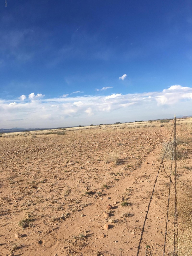 NE Ranch McNeal 6