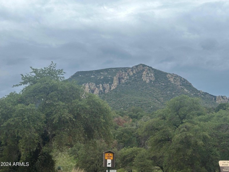 MOUNTAIN VIEWS
