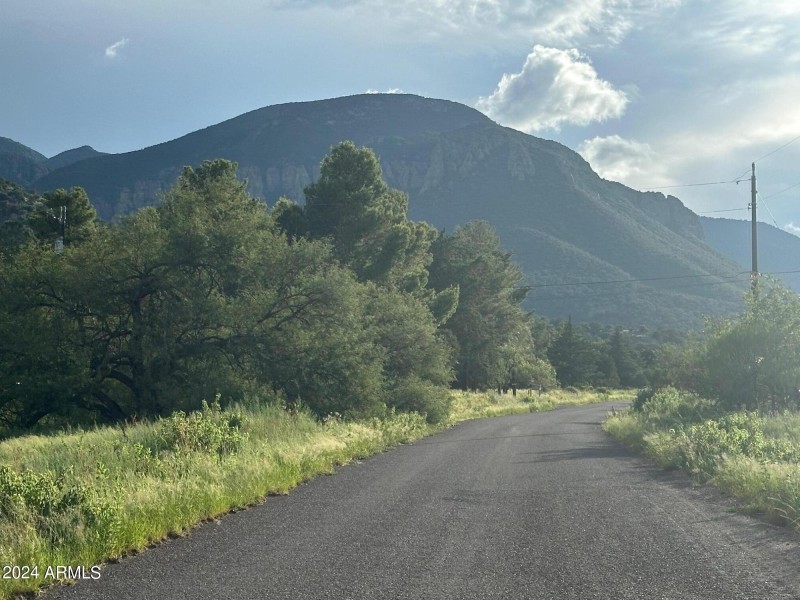 ROAD FORWARD