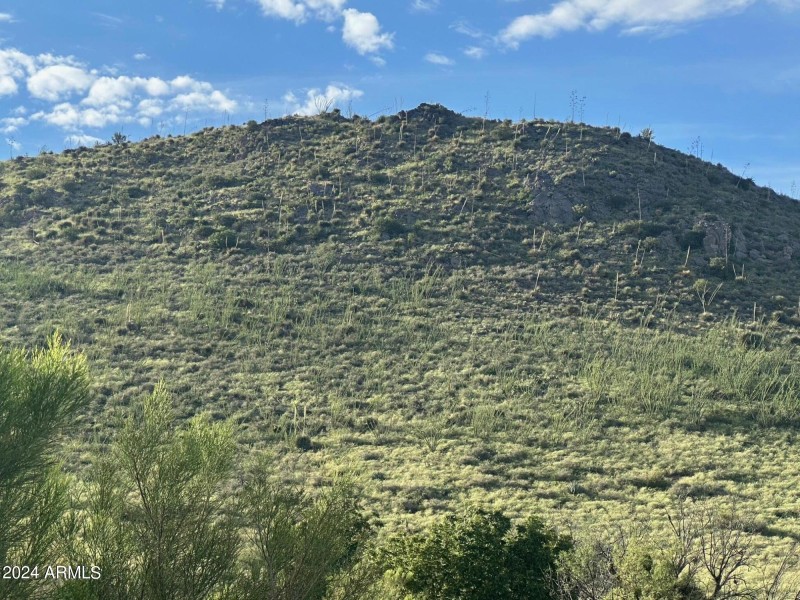 BACK HILL SIDE