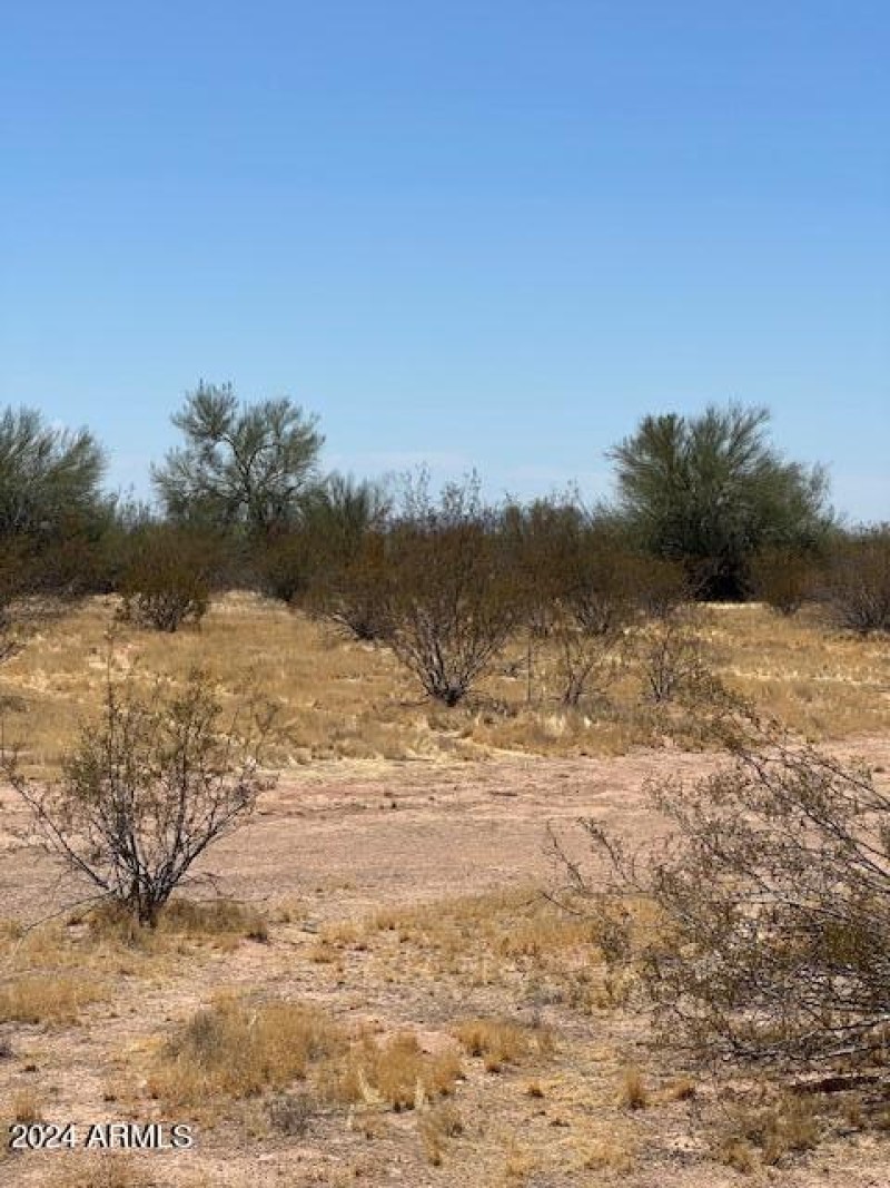 IMG_0550